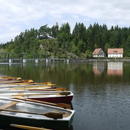 Nr 13b1, Hagbuegerl, Bayr Wald Waldmünchen