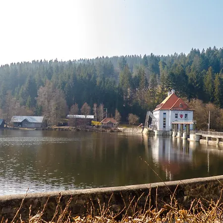 Nr 13b1, Hagbuegerl, Bayr Wald *