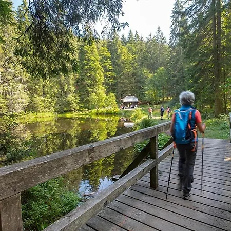 Prázdninový dům Nr 13b1, Hagbuegerl, Bayr Wald *