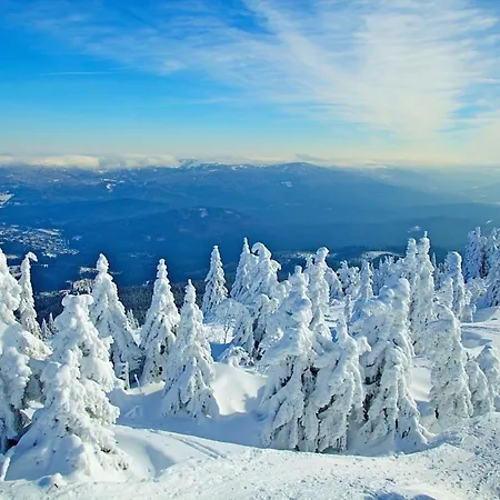 Prázdninový dům Nr 13b1, Hagbuegerl, Bayr Wald