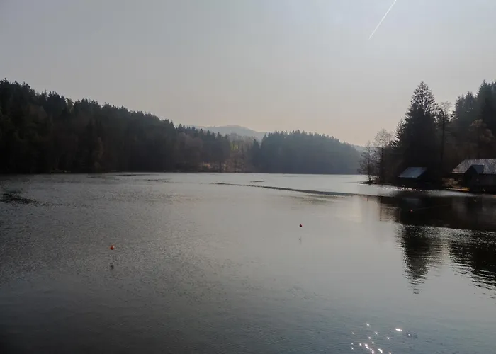 Nr 13b, Hagbügerl, Bayr Wald *