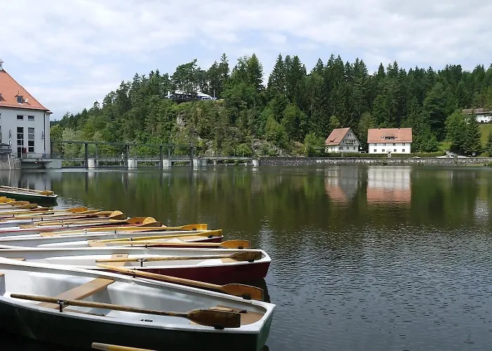 Nr 13b, Hagbügerl, Bayr Wald Waldmünchen